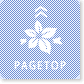 pagetop