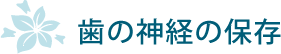 歯の神経の保存